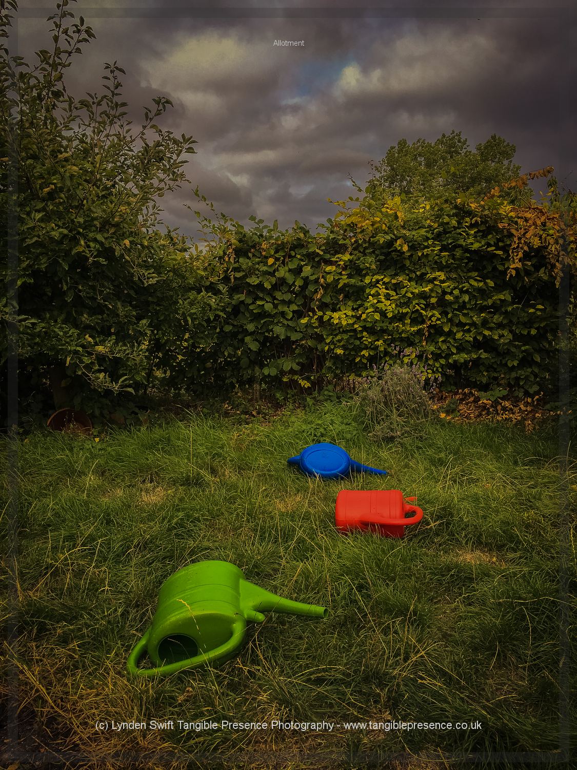  Trail of destruction left after a recent storm 
