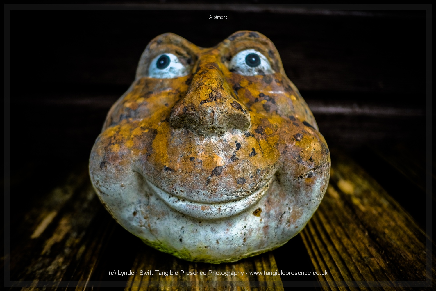  The shed guardian 