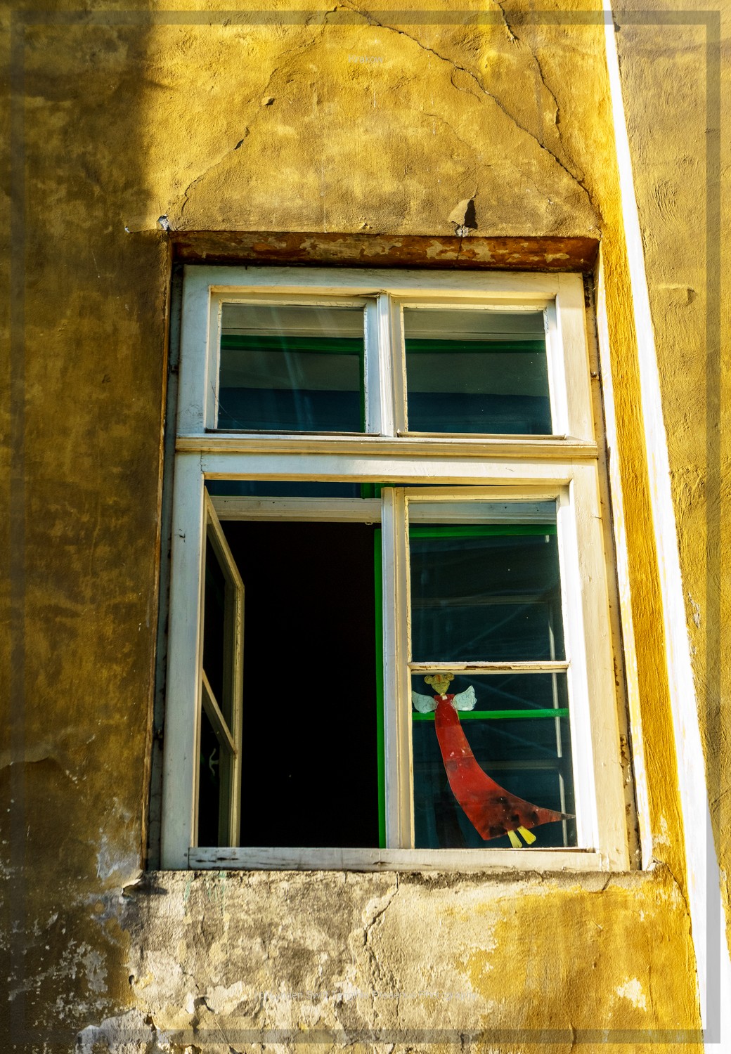  Window Angel 
