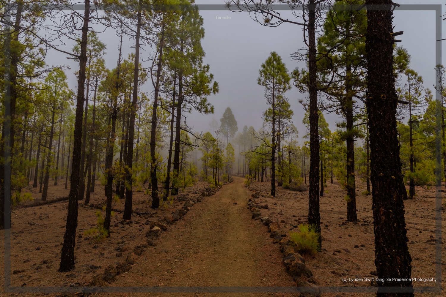  Tenerife.  
