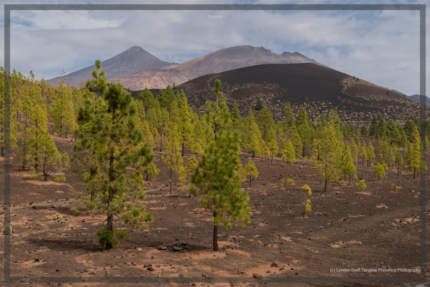  Tenerife.  