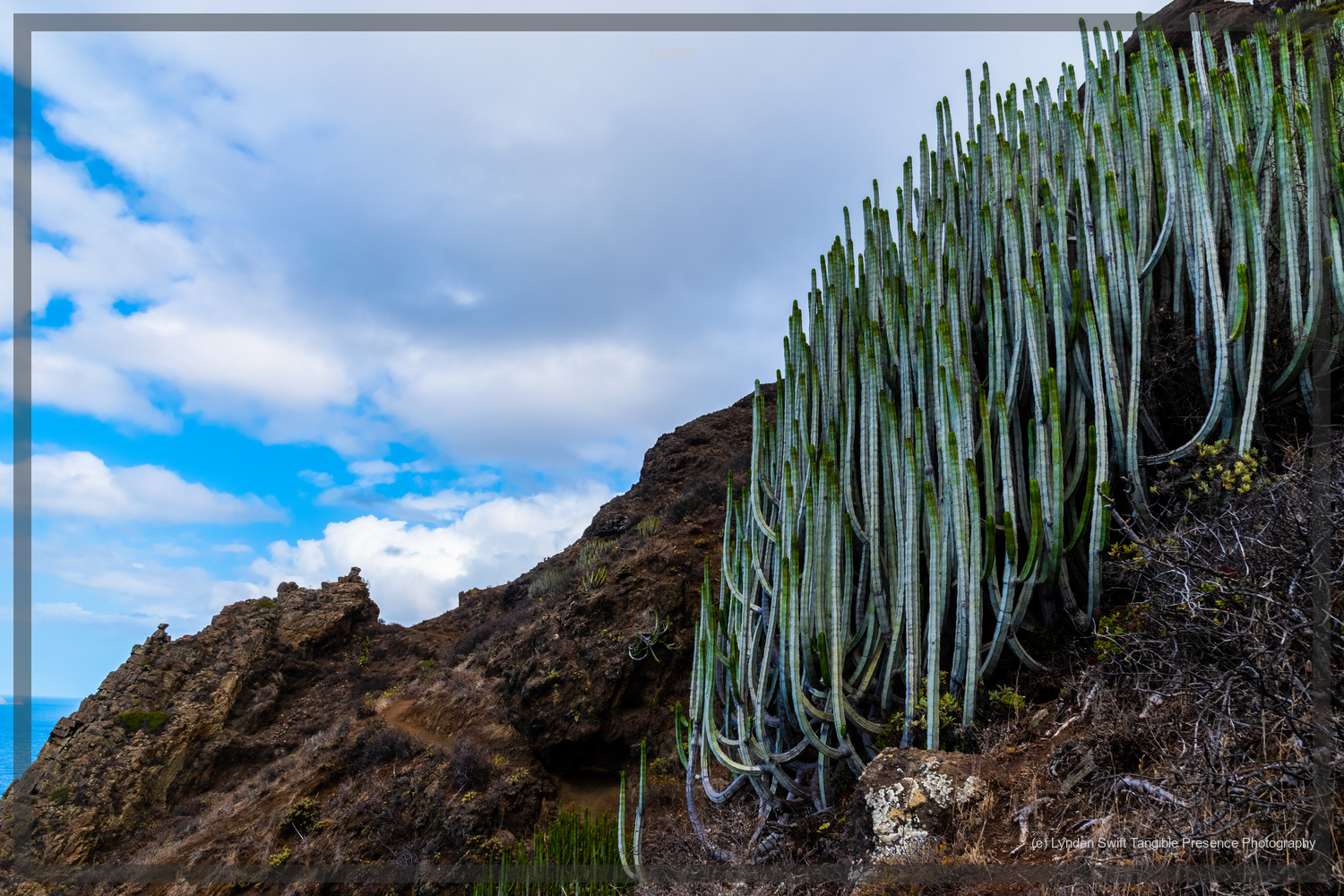  Tenerife.  